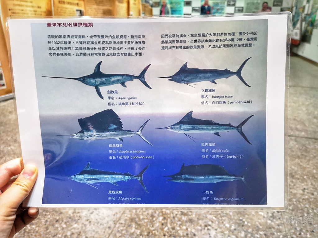 IMG_20190926_102826-01