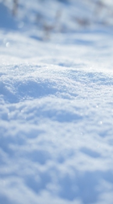 白雪客棧