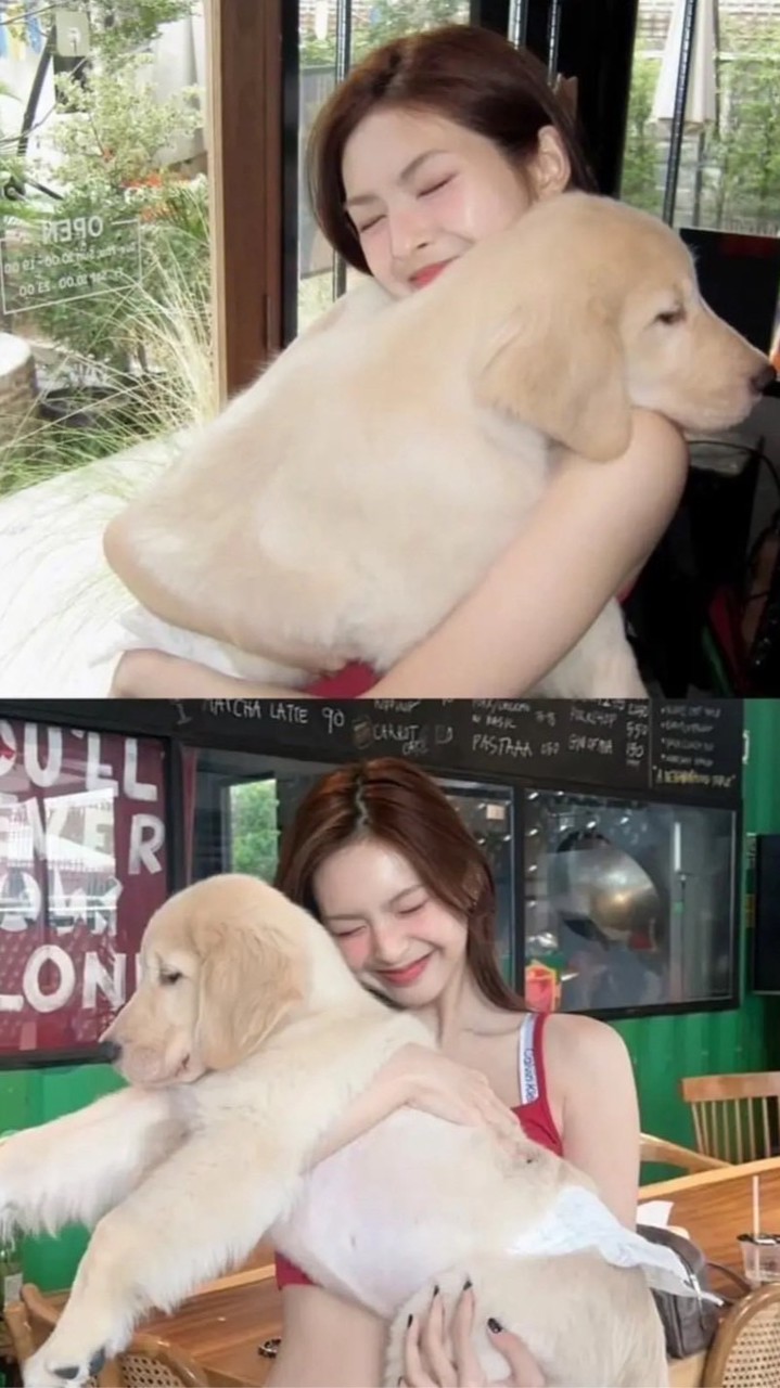연어の훠궈 레스토랑