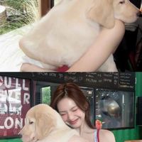 연어の훠궈 레스토랑