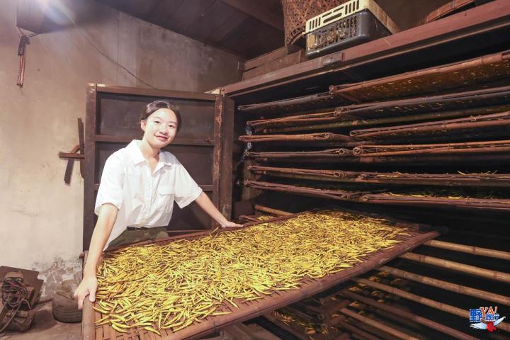 2023赤柯山金針花海必拍推薦8大景點 @Ya!Travel 野旅行新聞網