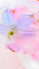 🌺愛知県民仲良く雑談しましょ～🌺