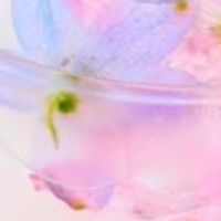 🌺愛知県民仲良く雑談しましょ～🌺