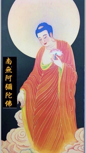 念佛共修課程（新）