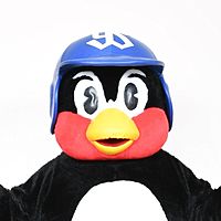 東京ヤクルトスワローズ