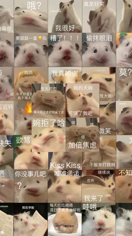 18進 （名字有點怪怪的