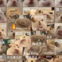 18進 （名字有點怪怪的