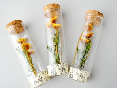 100均セリアの材料で ハーバリウム 作り 癒しのおうち空間に