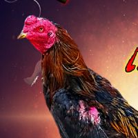 กลุ่มซื้อ-ขายไก่ชน