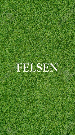 【サッカーサークル】FELSEN 見学用 OpenChat