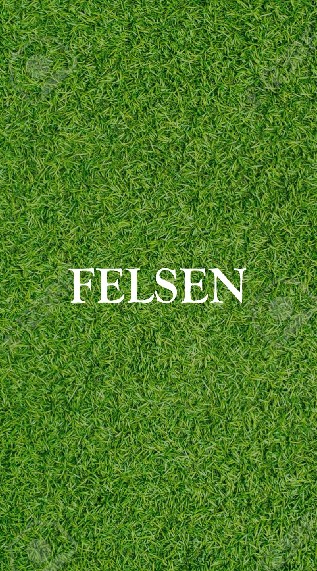 OpenChat 【サッカーサークル】FELSEN 見学用