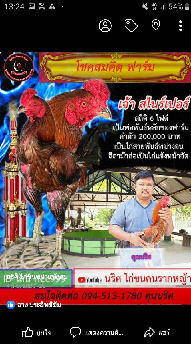 นริศ ไก่ชนคนรากญ่า