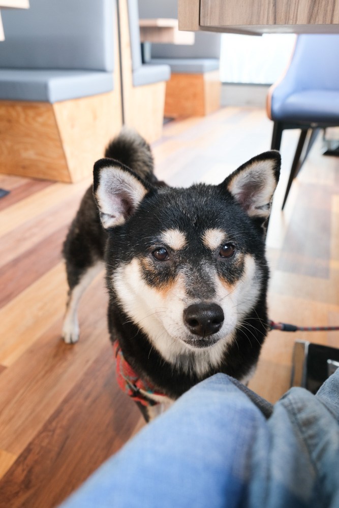 刁民酸菜魚, 秘譚酸菜專門店, 崇德路美食, 台中美食, 漢口路美食, 刁民崇德店