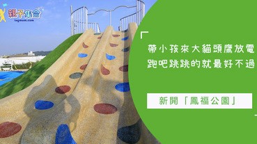 小朋友最好的放電地方！新開「鳳福公園」，讓小朋友靠自己力氣上滑梯