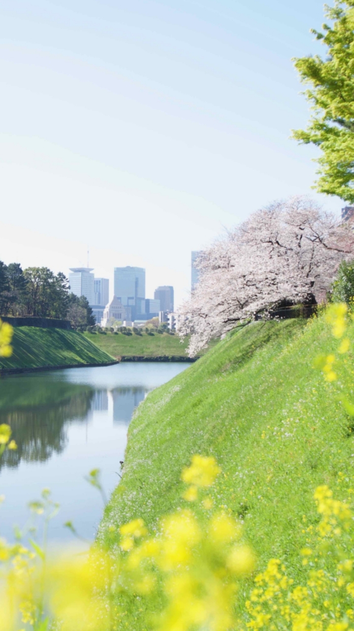 🇯🇵嘉義-日本情報、日文分享站