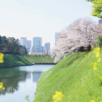 🇯🇵嘉義-日本情報、日文分享站