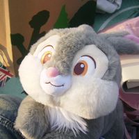 🐰隨意擺攤₍ᐢ‥ᐢ₎ ♡