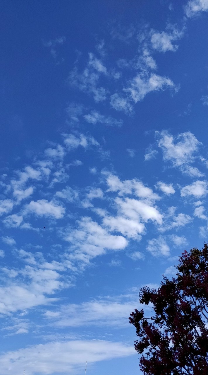 みんなでつくる@北とぴあ演劇祭