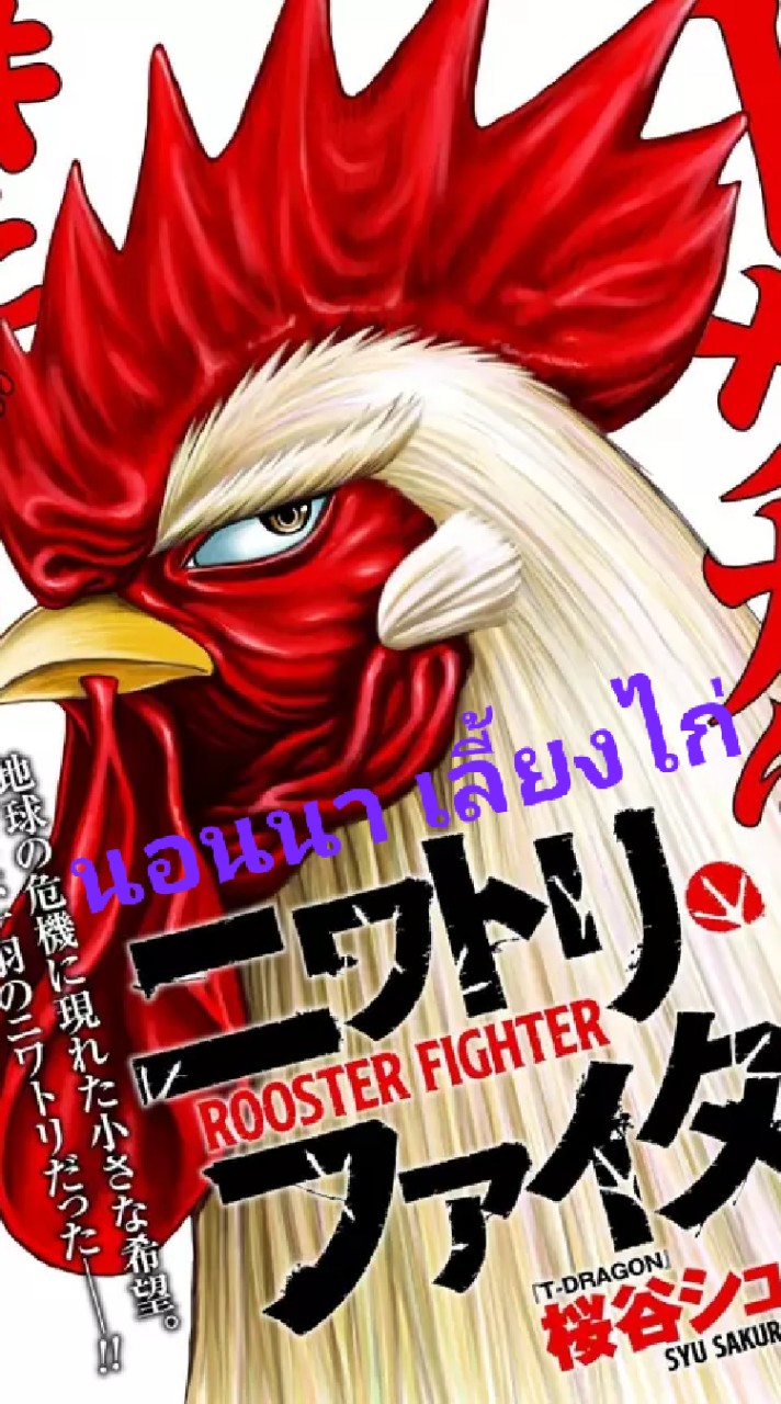 "นอนนา เลี้ยงไก่ & ป.แสงสว่าง"