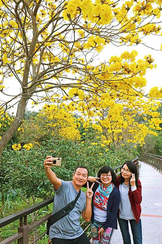 帶路玩家（左到右）：「樂窩露營區」營主Jason、「親子露營團」團主可樂媽、「營天下」達人陳子文。峨眉湖沿岸的黃花風鈴木步道，是帶路玩家推薦的美拍景點。（攝影／于魯光）