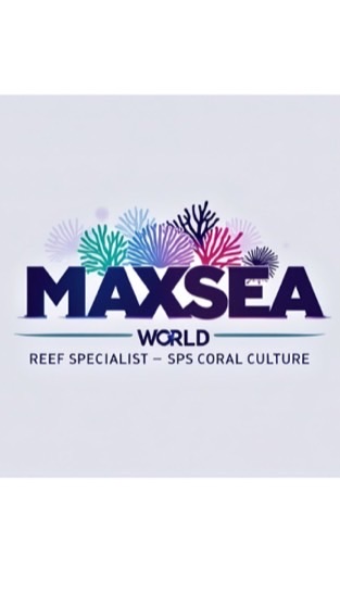 Maxseaworld