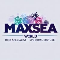 Maxseaworld