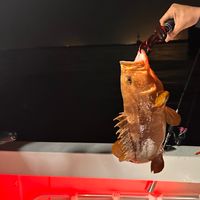 ‼️伊勢湾の釣り好き集まれ‼️