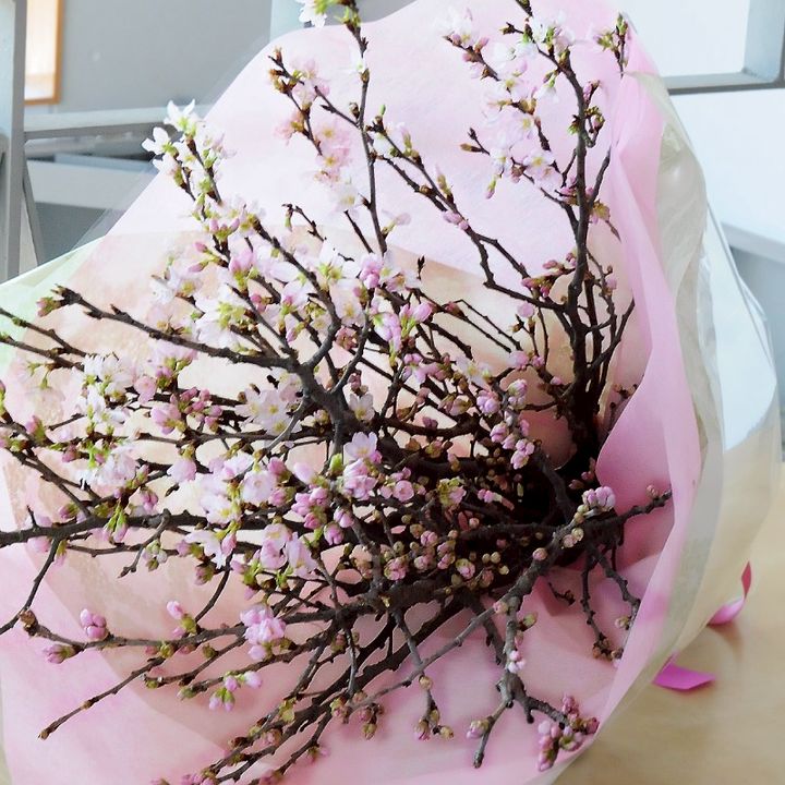 Mixed Media Feed エーデルワイス 花の贈り物 Line Official Account