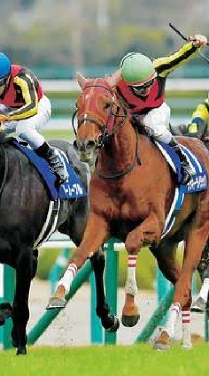 競馬、ボートレース予想会 OpenChat