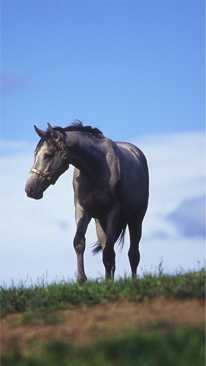 競馬やろうよ！のオープンチャット