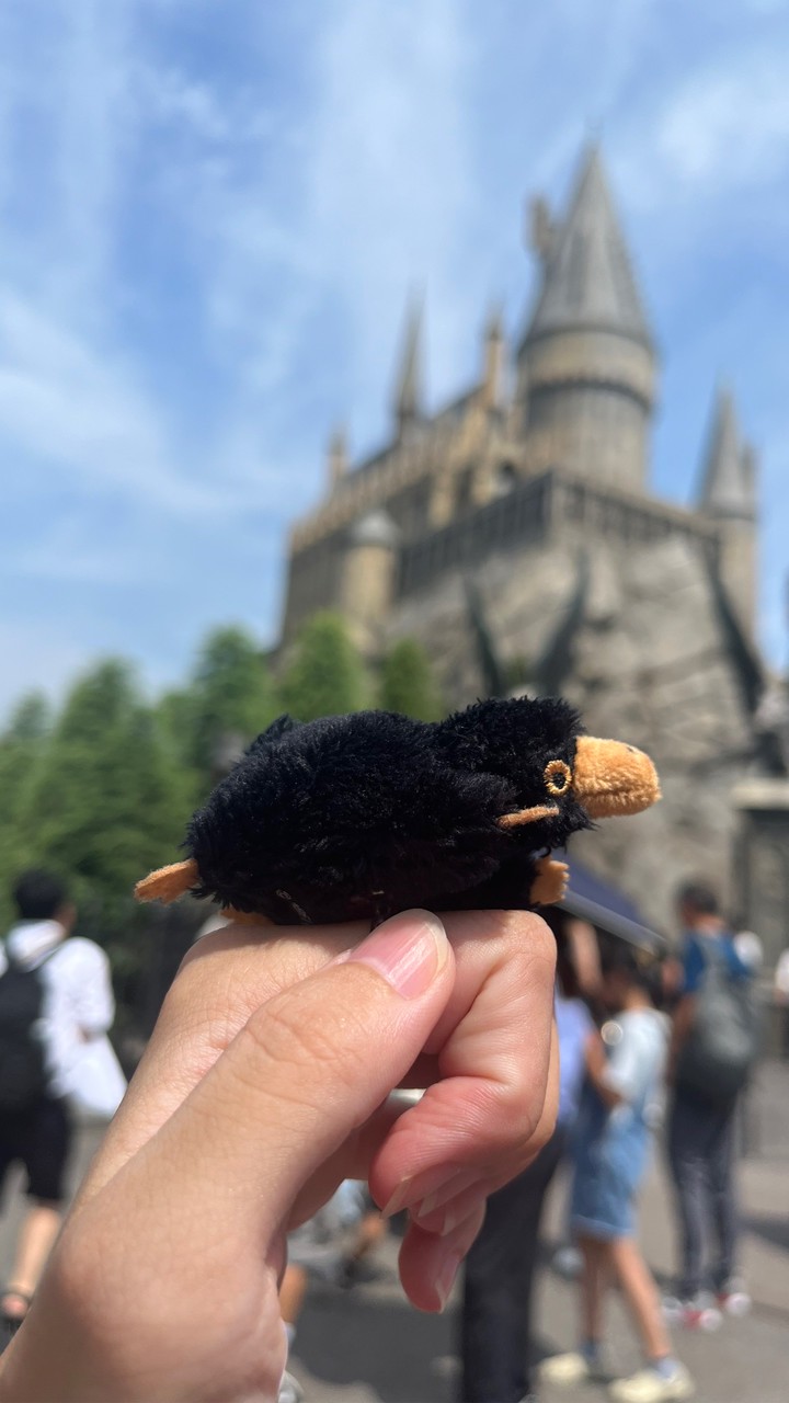 Ohana store日本代購