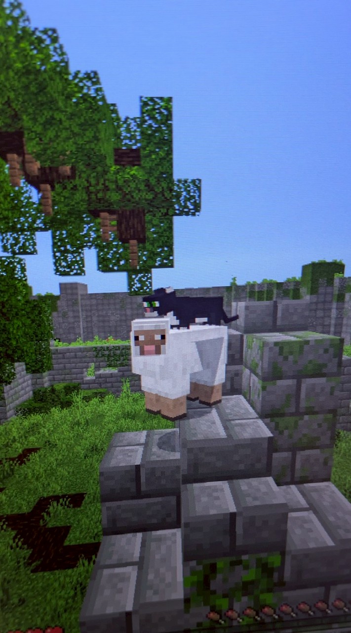 🦈マイクラHIVE