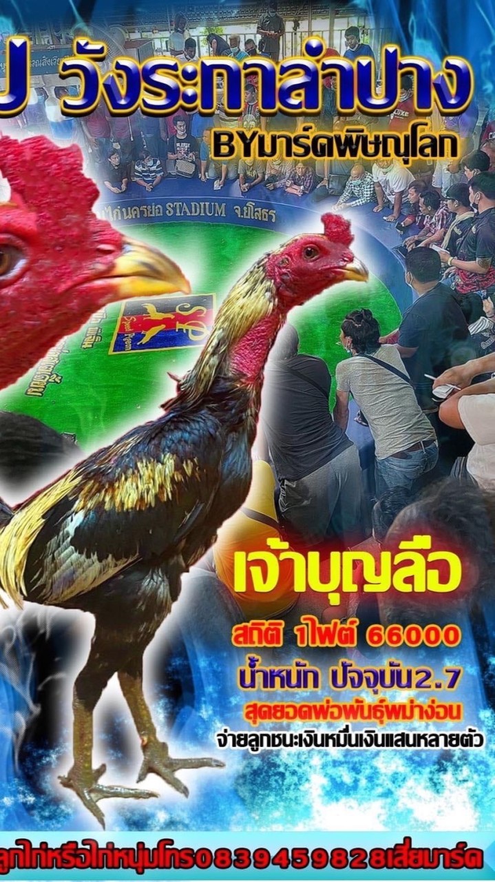 มาร์ค พิษณุโลก