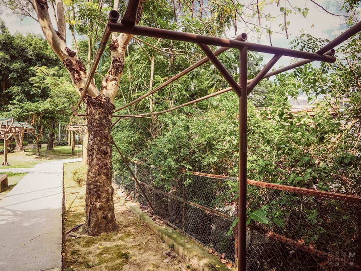 連新北人都不知道！樹林８處免費景點：巨型飛碟公園、愛心池塘、繡球花祕境