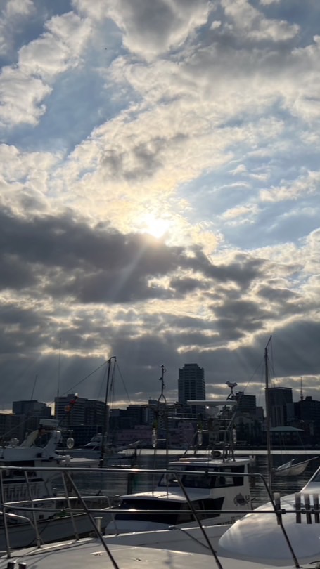 あつまれ福祉の森