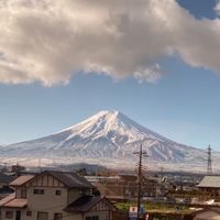 地瓜球先生