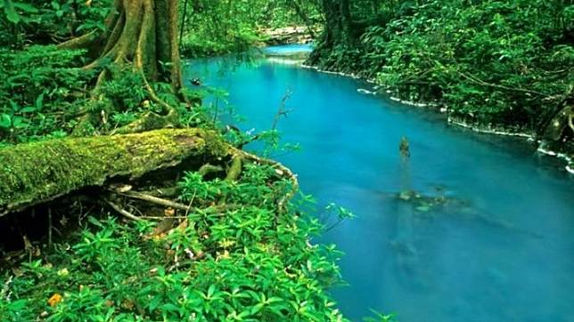 Aneh! Sudah Sering Diteliti Kali, Alasan Sungai Berwarna Biru Toska di Negara Ini Masih jadi Misteri