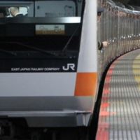 主に関東のスジ公開