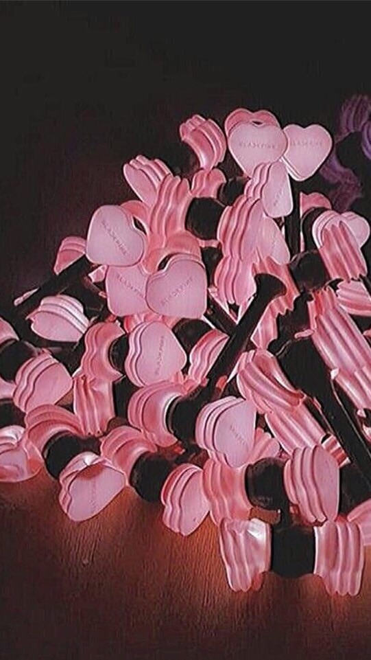 BLINK🖤💗