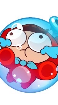 爆爆王交流協會