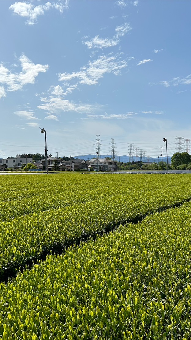 かわせみ交通　坂戸市〜入間市路線バス設立計画　雑談・意見・質問