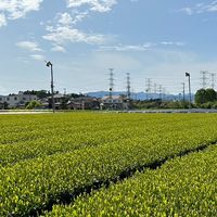 かわせみ交通　坂戸市〜入間市路線バス設立計画　雑談・意見・質問