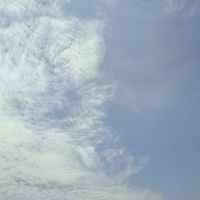 我愛我家