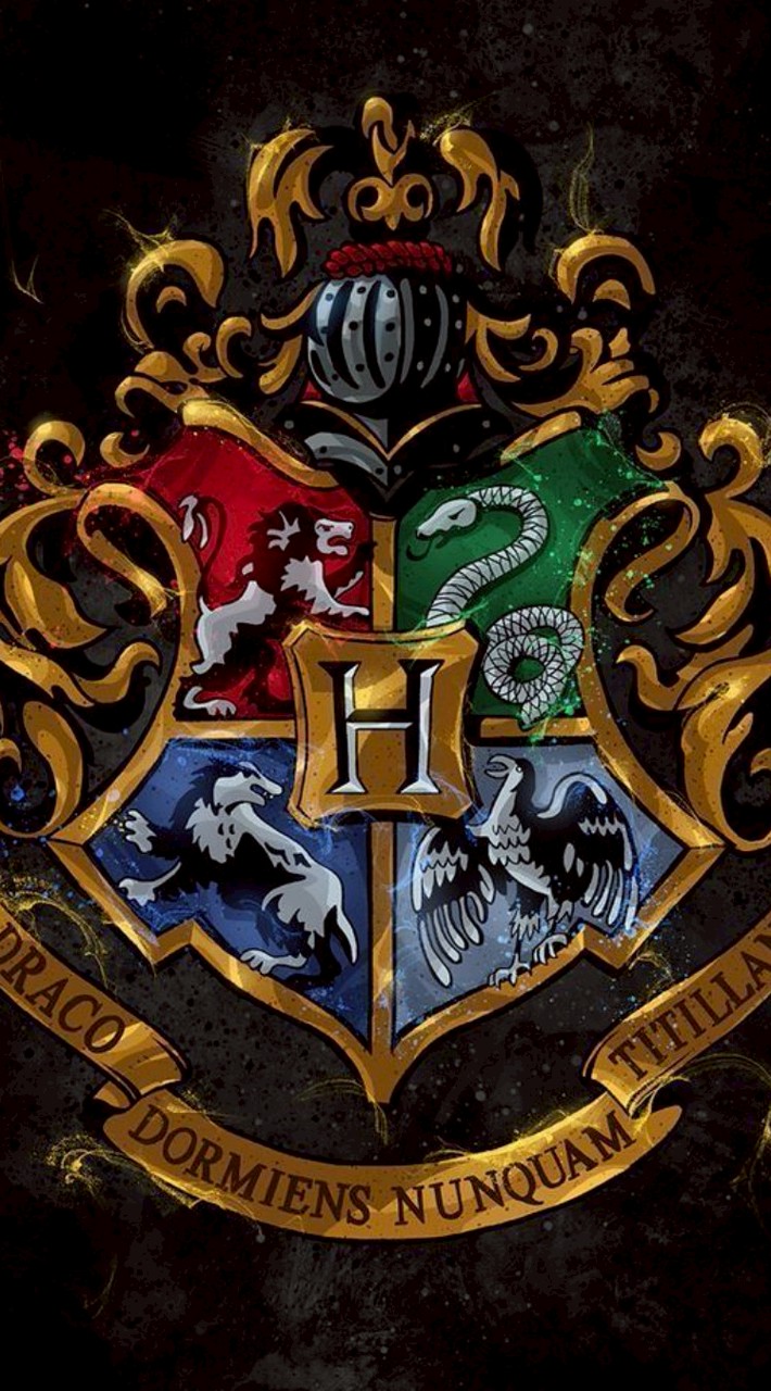 Hogwarts Academy of Magic and Sorcery