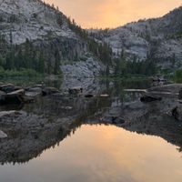 JF_Official