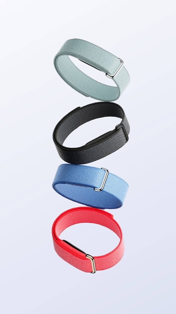 Google Fitbit Air Thailand  (ซื้อขาย)