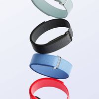 Google Fitbit Air Thailand  (ซื้อขาย)