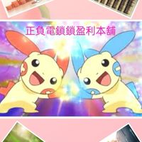 正負電鎖鎖盈利本舖
