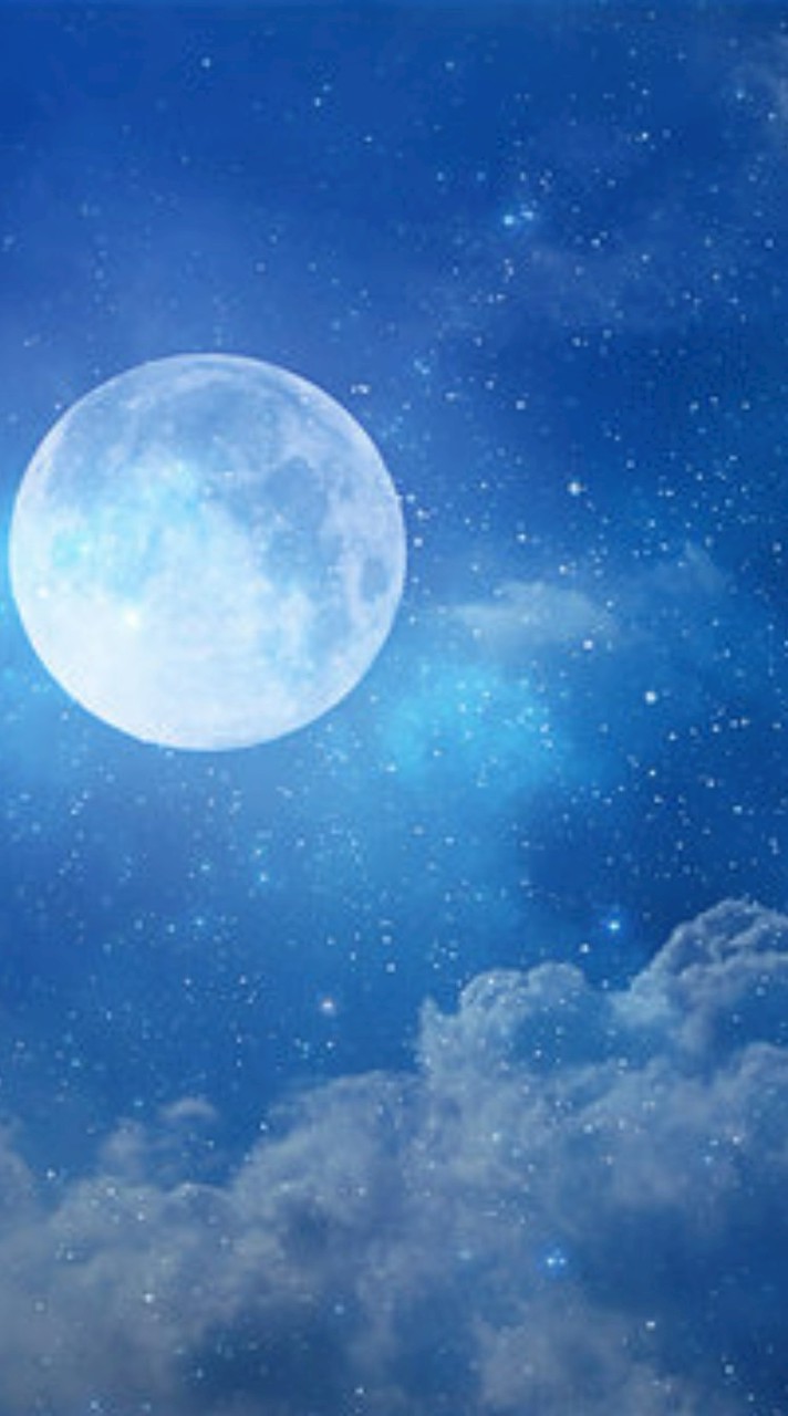 【也】輝夜本丸⋆☽·̩͙‪