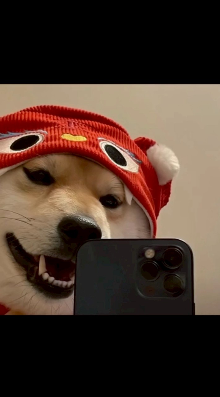 TD俱樂部